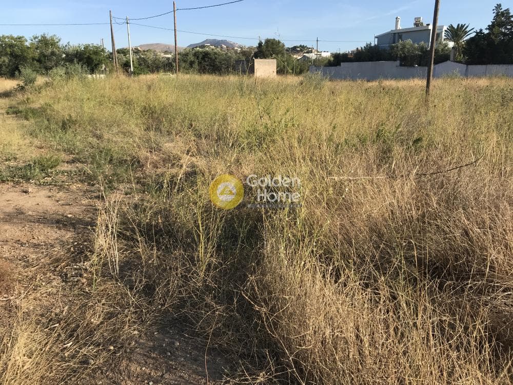 Οικόπεδο στην Καλύβια, Καλύβια Θορικού — Φωτογραφία 4 από 6