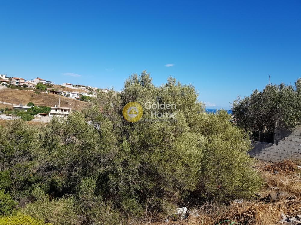 Αγροτεμάχιο στην Διψέλιζα, Κερατέα — Φωτογραφία 2 από 5