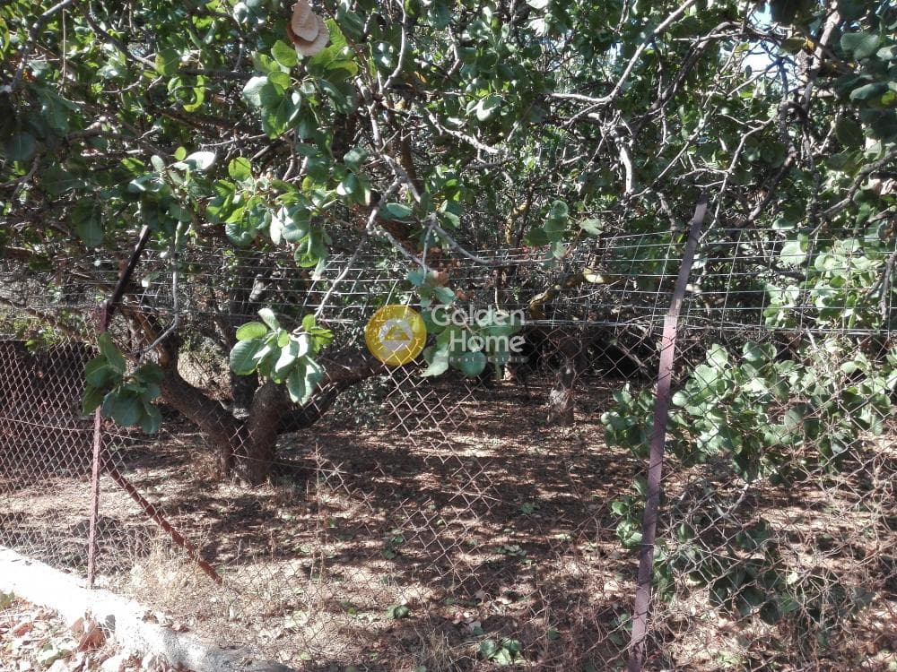 Building Plot in Ano Mpalana, Pallini — Photo 1 of 3