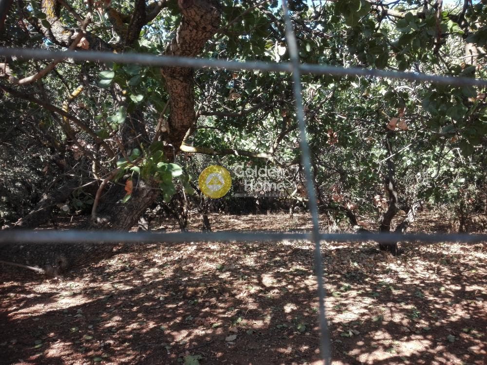 Building Plot in Ano Mpalana, Pallini — Photo 2 of 3