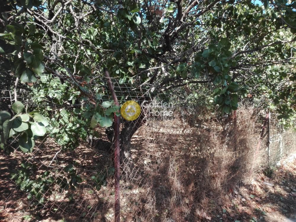 Building Plot in Ano Mpalana, Pallini — Photo 3 of 3