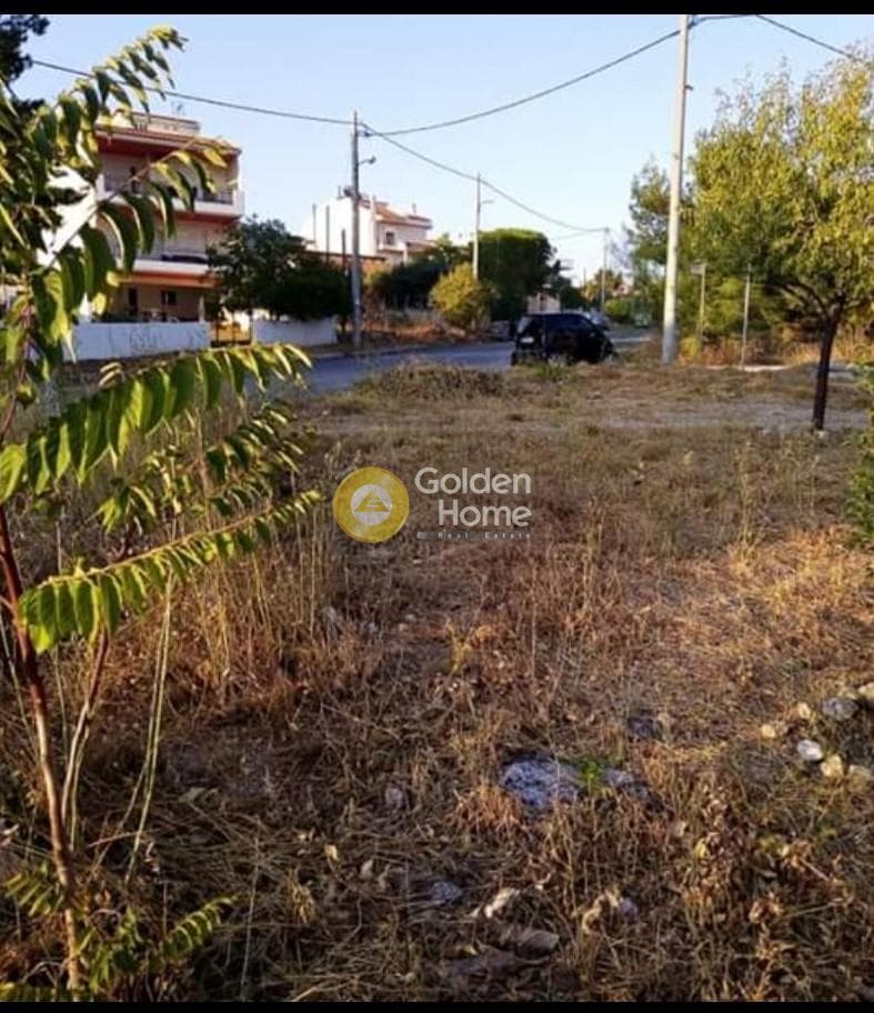 Building Plot in Panorama, Metamorfosi — Photo 1 of 2