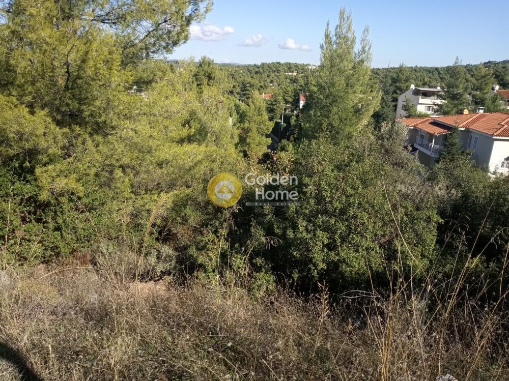 Οικόπεδο στην Δροσιά, Δροσιά — Φωτογραφία 1 από 3