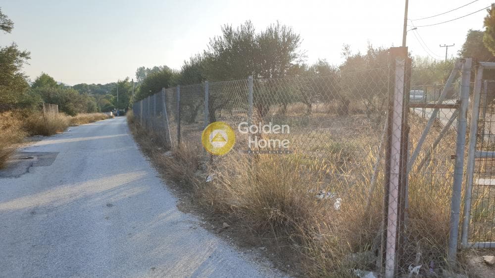 Parcel in Lamprika, Koropi — Photo 1 of 5