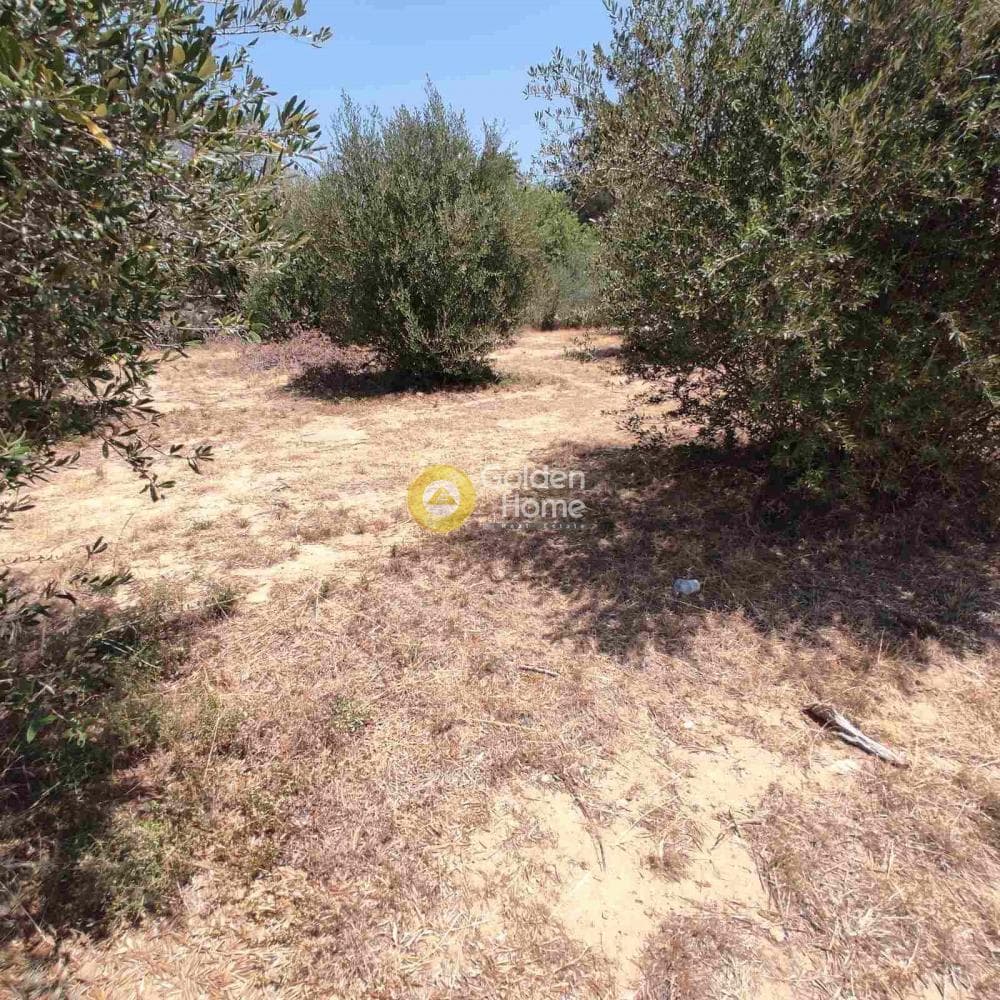 Building Plot in Center, Kifisia — Photo 6 of 6