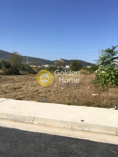 Οικόπεδο στην Άνω Μπαλάνα, Παλλήνη — Φωτογραφία 2 από 3