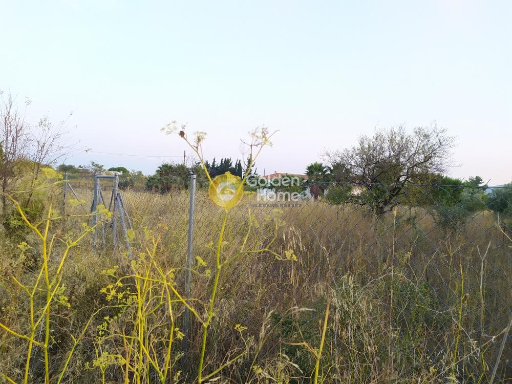 Οικόπεδο στην Καισάρεια, Παλλήνη — Φωτογραφία 2 από 12