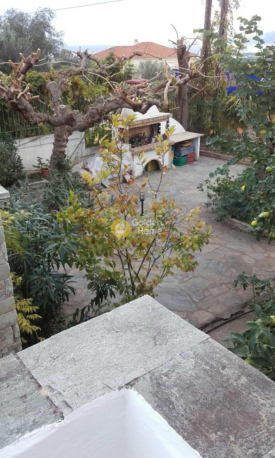 Μονοκατοικία στην Συλιβαινιώτικα, Ακράτα — Φωτογραφία 13 από 36