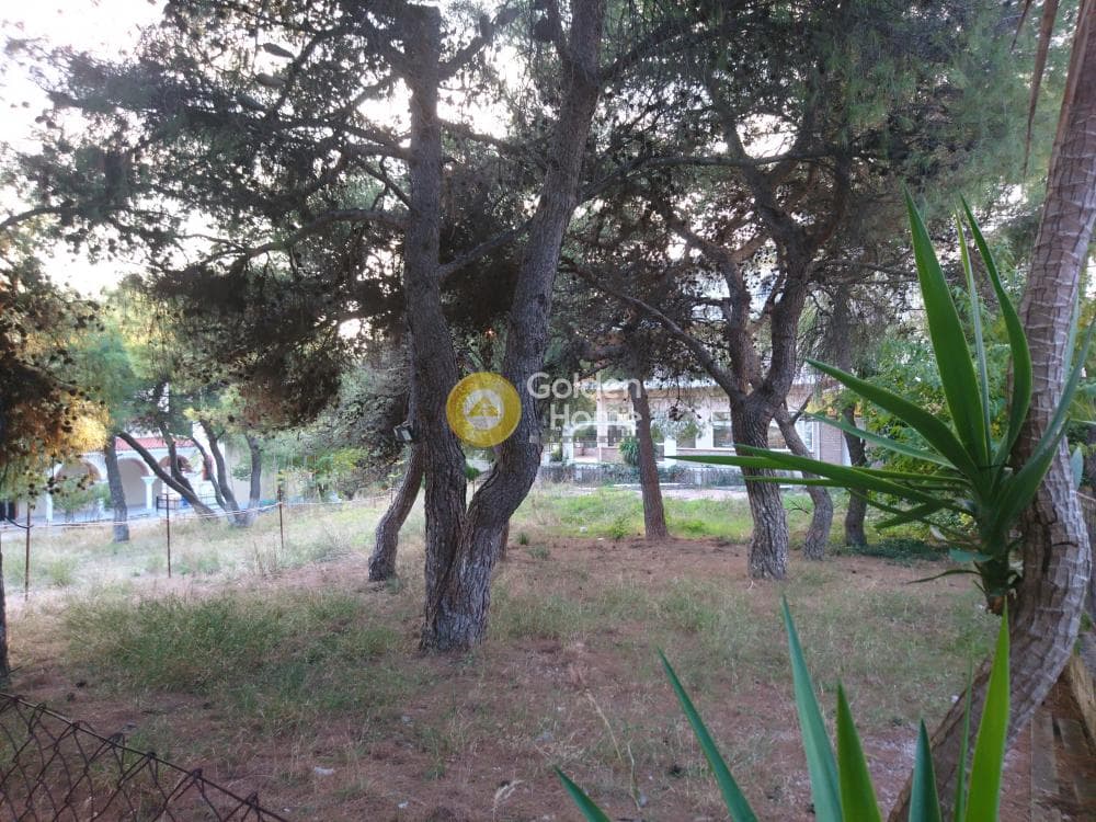 Οικόπεδο στην Μεγάλα Σχοινία Α, Αχαρνές — Φωτογραφία 8 από 8