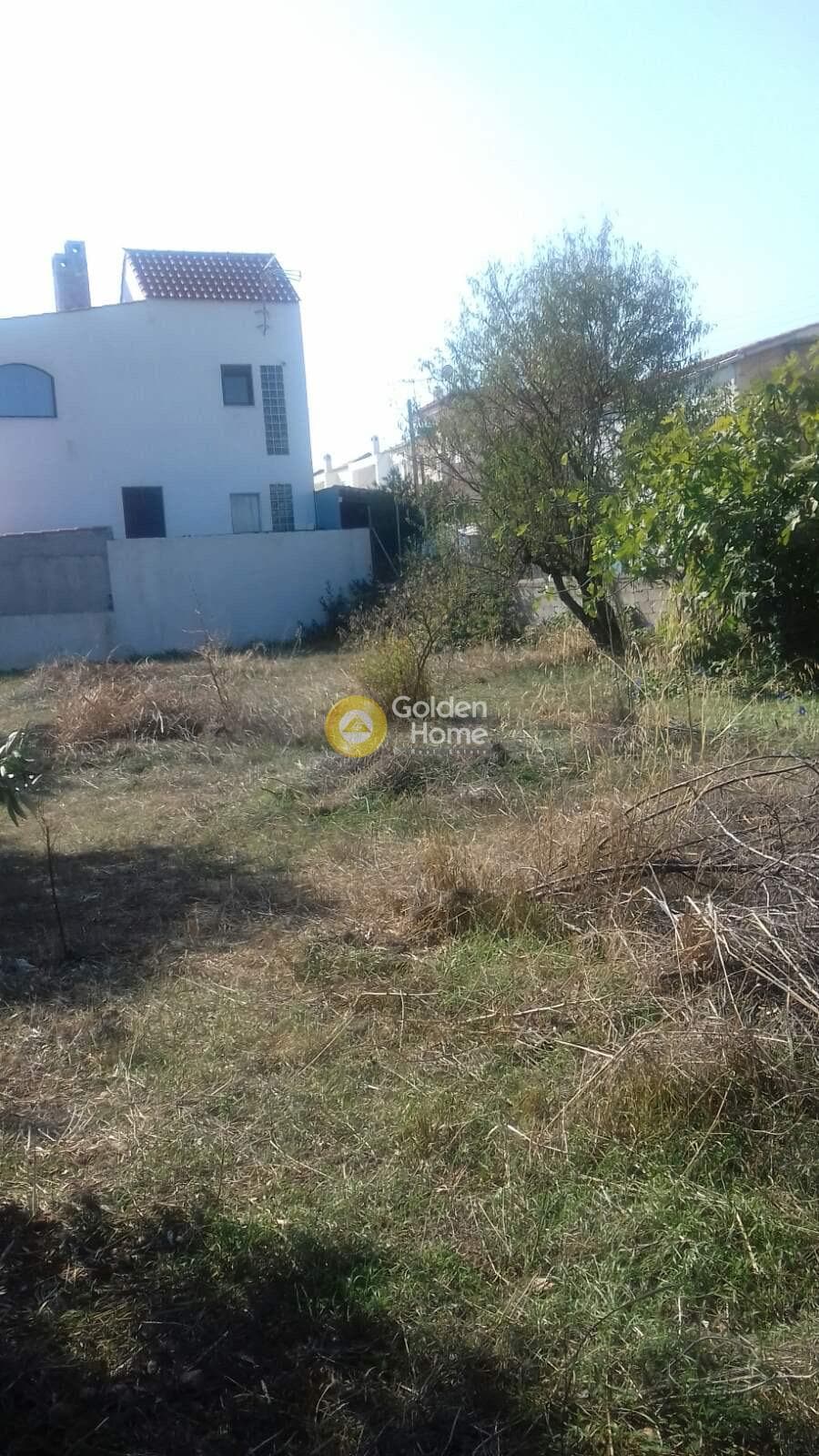 Building Plot in Vorineza, Artemida (Loutsa) — Photo 3 of 3
