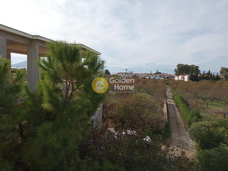 Building Plot in Kipseli, Aegina — Photo 11 of 14