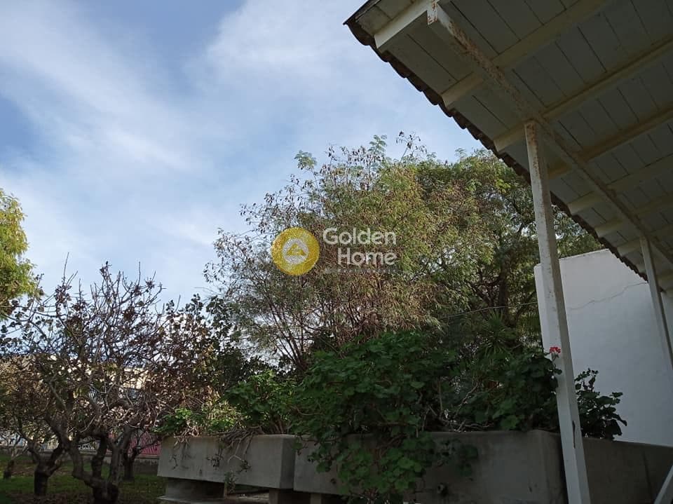 Building Plot in Kipseli, Aegina — Photo 14 of 14