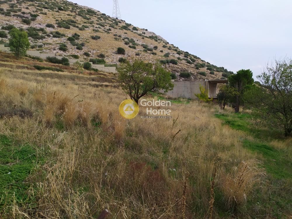 Building Plot in Kalivia, Kalivia Thorikou — Photo 1 of 6