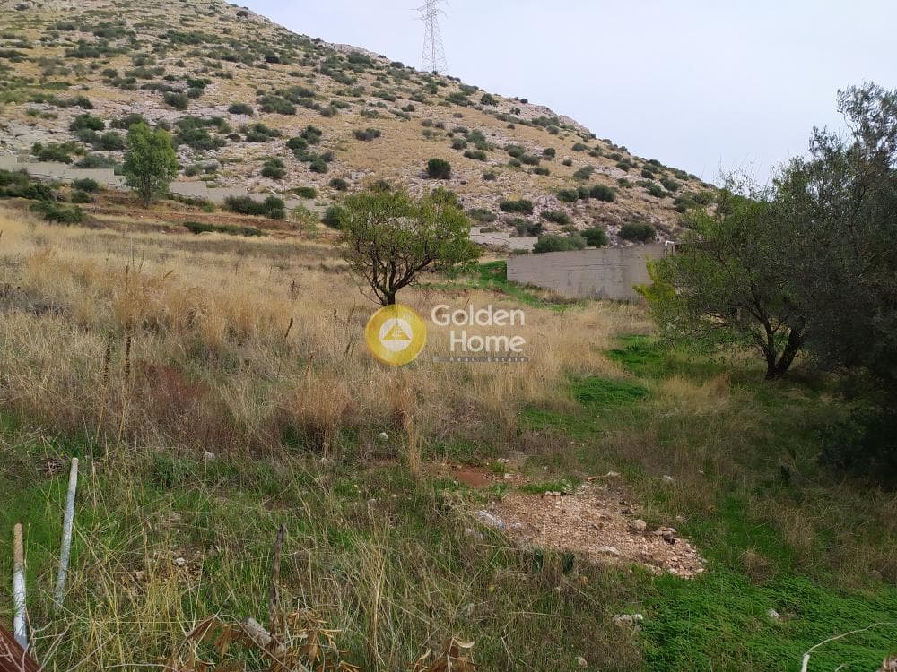 Building Plot in Kalivia, Kalivia Thorikou — Photo 5 of 6