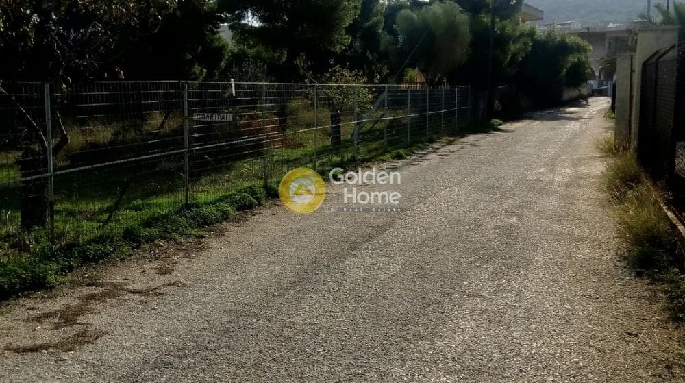 Building Plot in Therma, Aegina — Photo 9 of 13