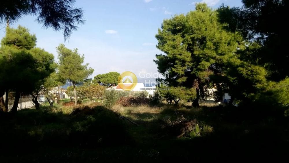 Building Plot in Therma, Aegina — Photo 10 of 13