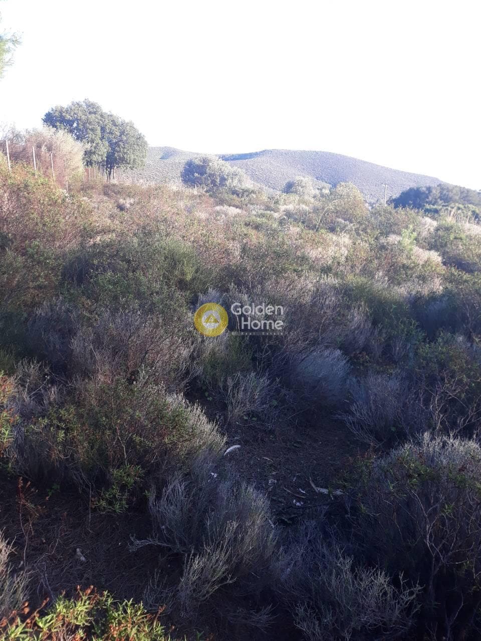 Οικόπεδο στην Άνω Σούλι, Γραμματικό — Φωτογραφία 1 από 3