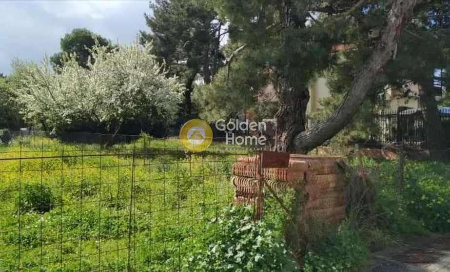 Building Plot in Lofos Antheon, Stamata — Photo 3 of 3
