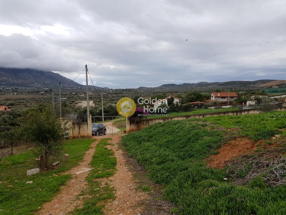 Αγροτεμάχιο στην Κεφλαίικα, Καλύβια Θορικού — Φωτογραφία 5 από 7