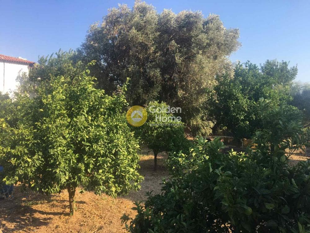 Μονοκατοικία στην Λόφος Ξελαφτάκι, Καλύβια Θορικού — Φωτογραφία 13 από 22