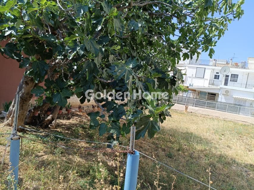 Building Plot in Agia Triada, Kamatero — Photo 3 of 4
