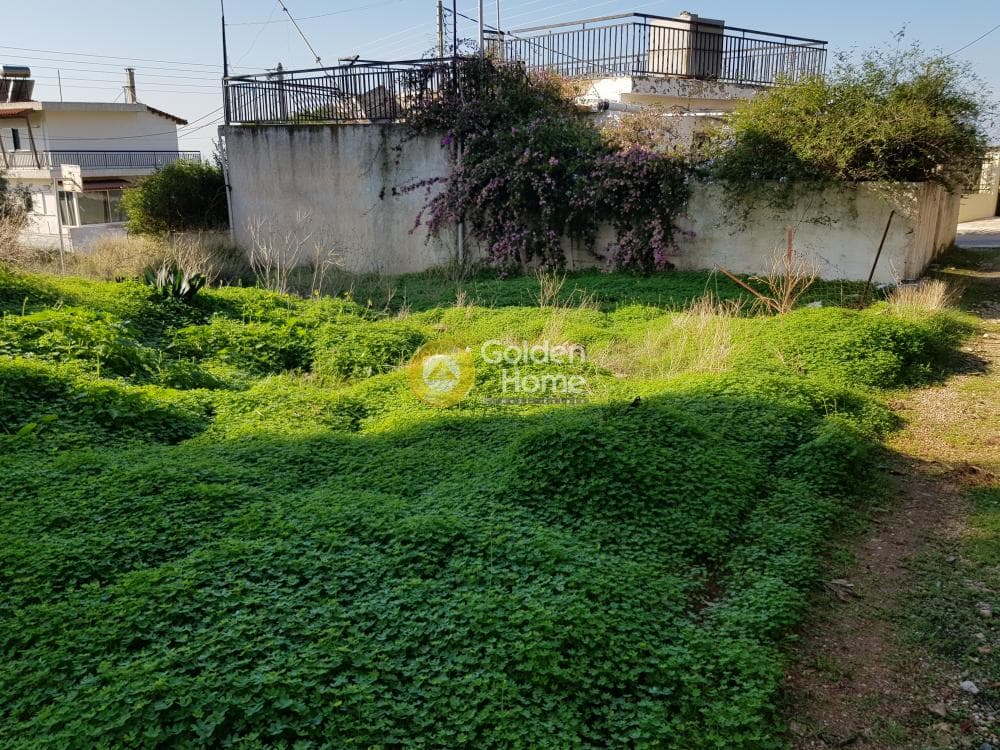 Building Plot in Kalivia, Kalivia Thorikou — Photo 4 of 6