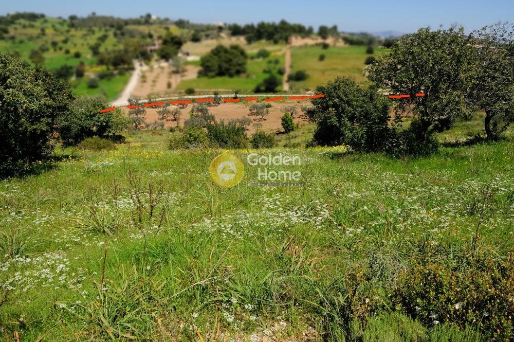 Parcel in Kosta, Spetses — Photo 13 of 26
