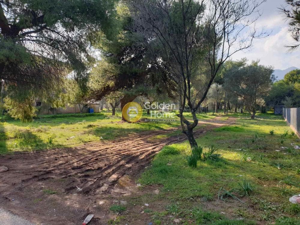 Οικόπεδο στην Ζούμπερι, Νέα Μάκρη — Φωτογραφία 1 από 3