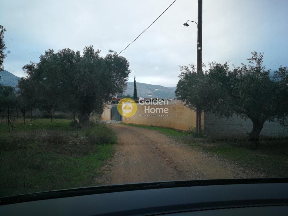 Μονοκατοικία στην Κέντρο, Κορωπί — Φωτογραφία 26 από 26