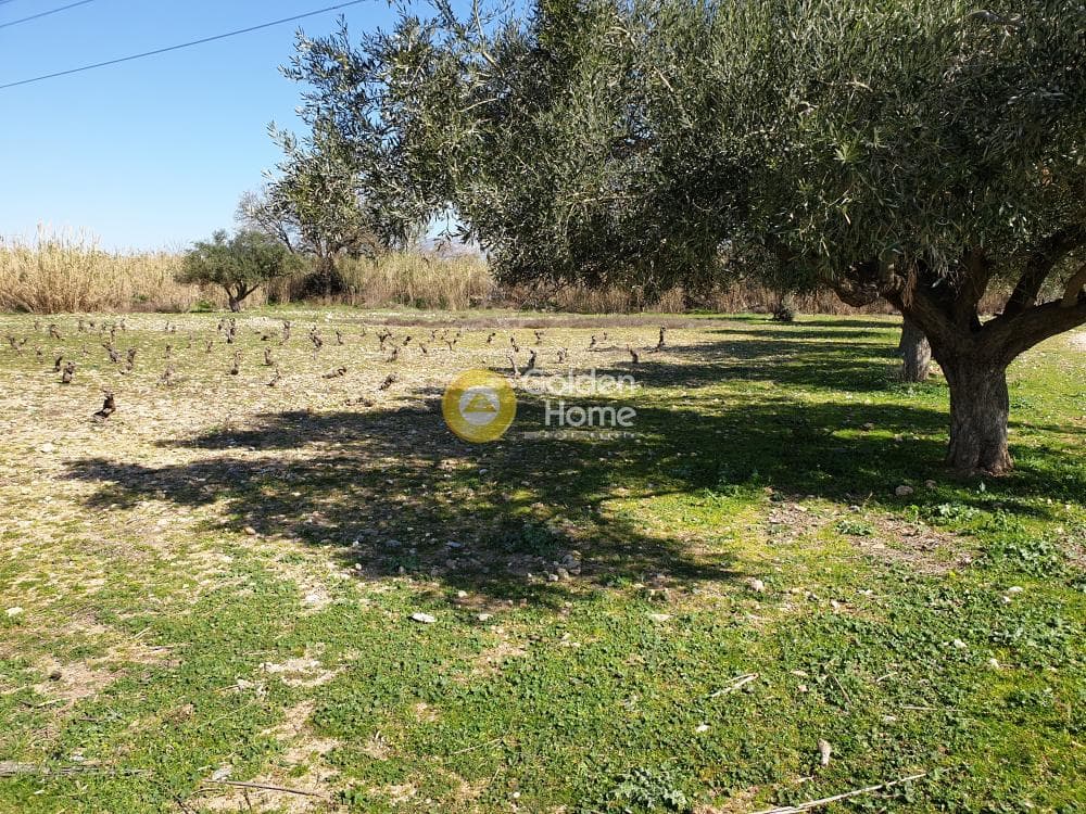 Οικόπεδο στην Άνω Μπαλάνα, Παλλήνη — Φωτογραφία 6 από 8