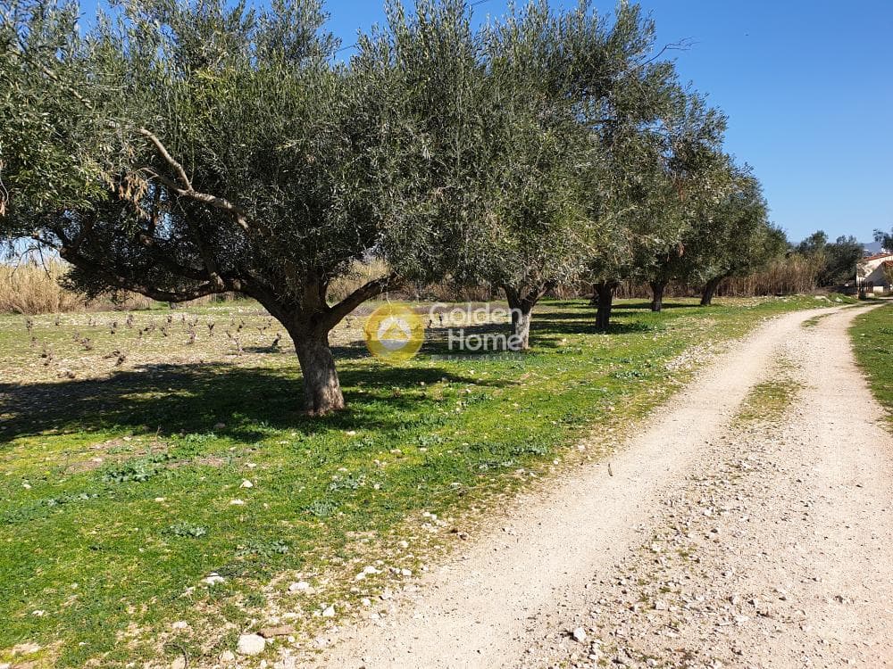 Οικόπεδο στην Άνω Μπαλάνα, Παλλήνη — Φωτογραφία 5 από 8