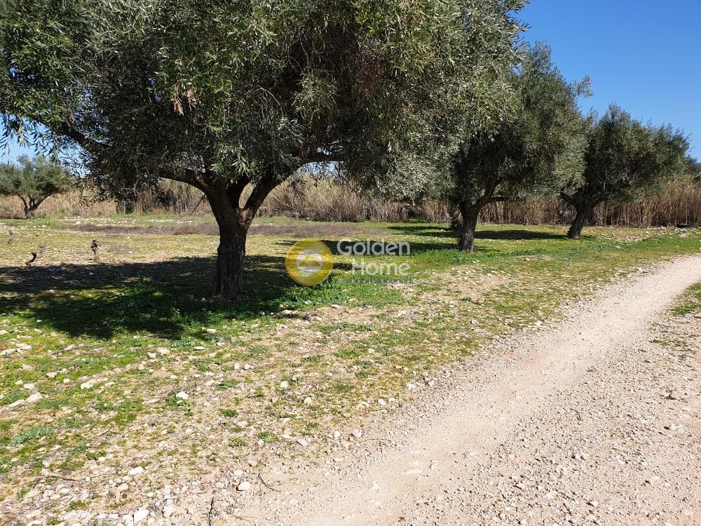 Οικόπεδο στην Άνω Μπαλάνα, Παλλήνη — Φωτογραφία 3 από 8