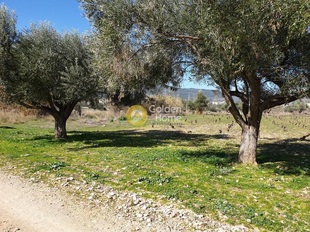 Οικόπεδο στην Άνω Μπαλάνα, Παλλήνη — Φωτογραφία 4 από 8