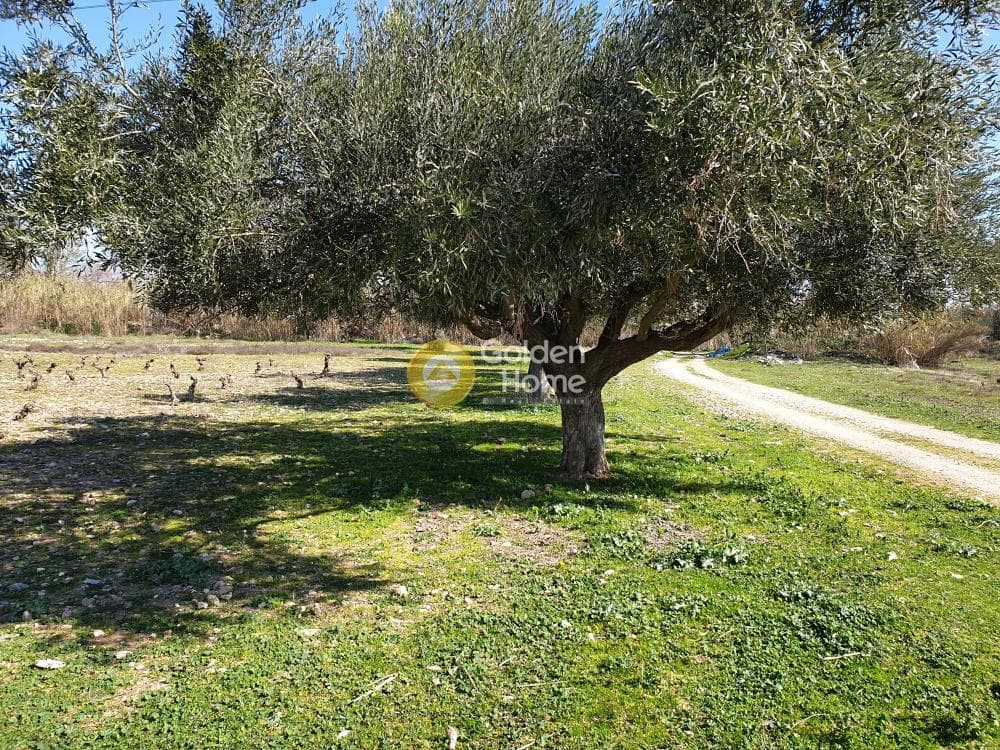 Οικόπεδο στην Άνω Μπαλάνα, Παλλήνη — Φωτογραφία 8 από 8