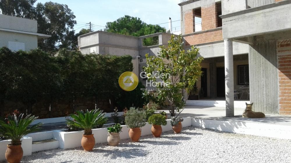 Μονοκατοικία στην Νεάπολη, Σπάτα — Φωτογραφία 5 από 21
