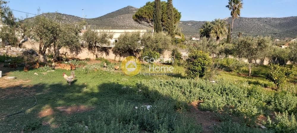 Αγροτεμάχιο στην Άνω Σούλι, Γραμματικό — Φωτογραφία 6 από 14