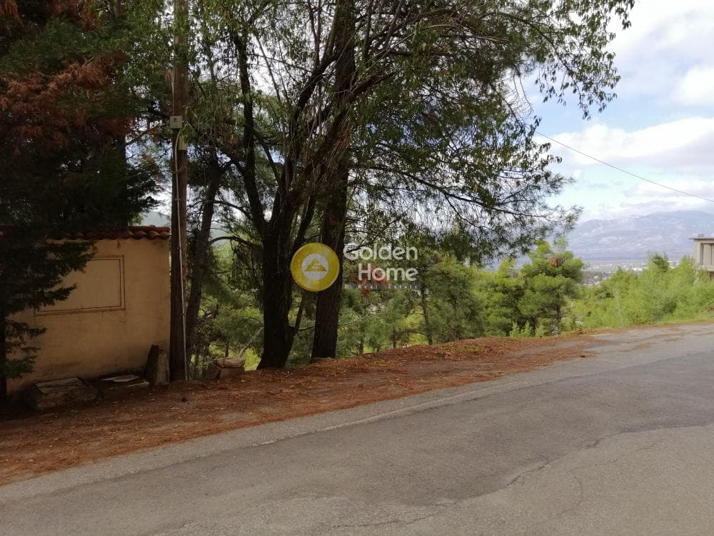 Building Plot in Rodopoli, Rodopoli — Photo 2 of 10