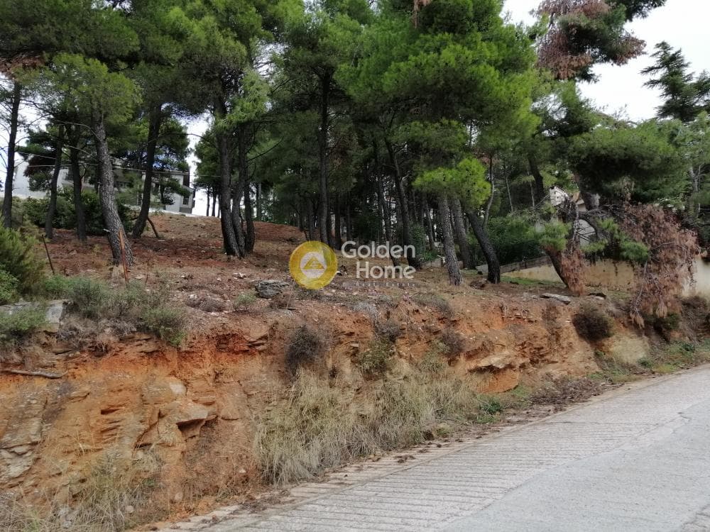 Building Plot in Rodopoli, Rodopoli — Photo 5 of 10