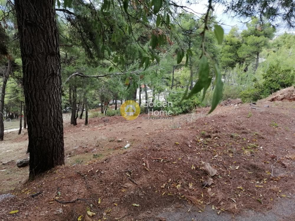 Building Plot in Rodopoli, Rodopoli — Photo 7 of 10