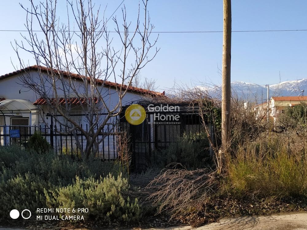 Οικόπεδο στην Αδάμες (Οικισμός Γράμμος - Φοίνικας), Κηφισιά — Φωτογραφία 8 από 11