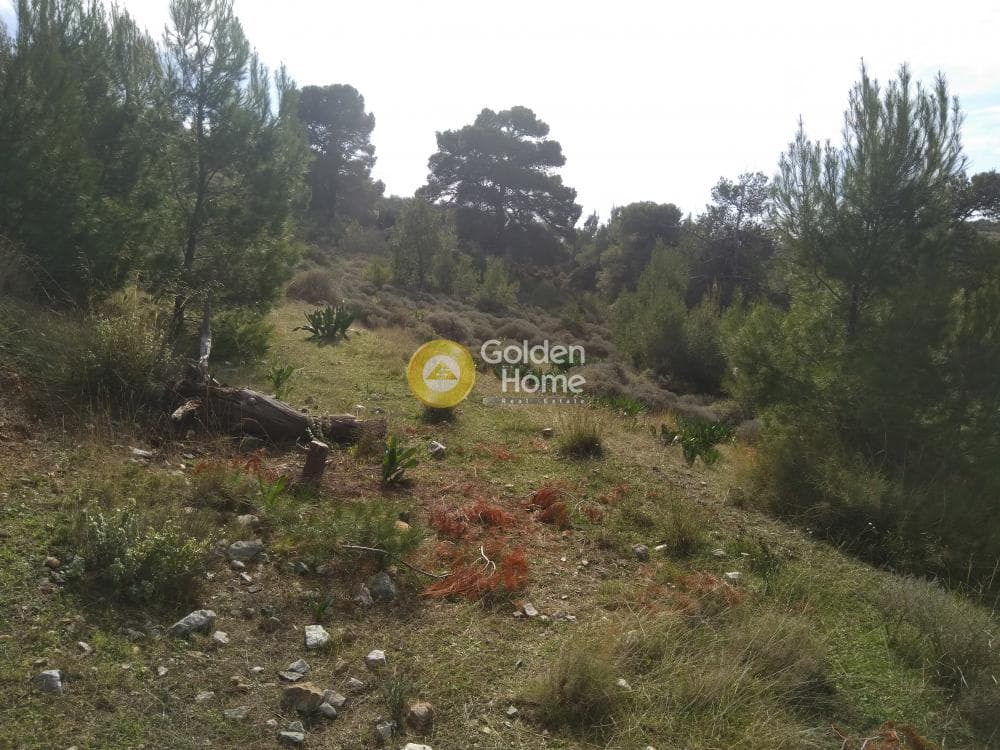 Οικόπεδο στην Γαλάζια ακτή, Καλύβια Θορικού — Φωτογραφία 4 από 4
