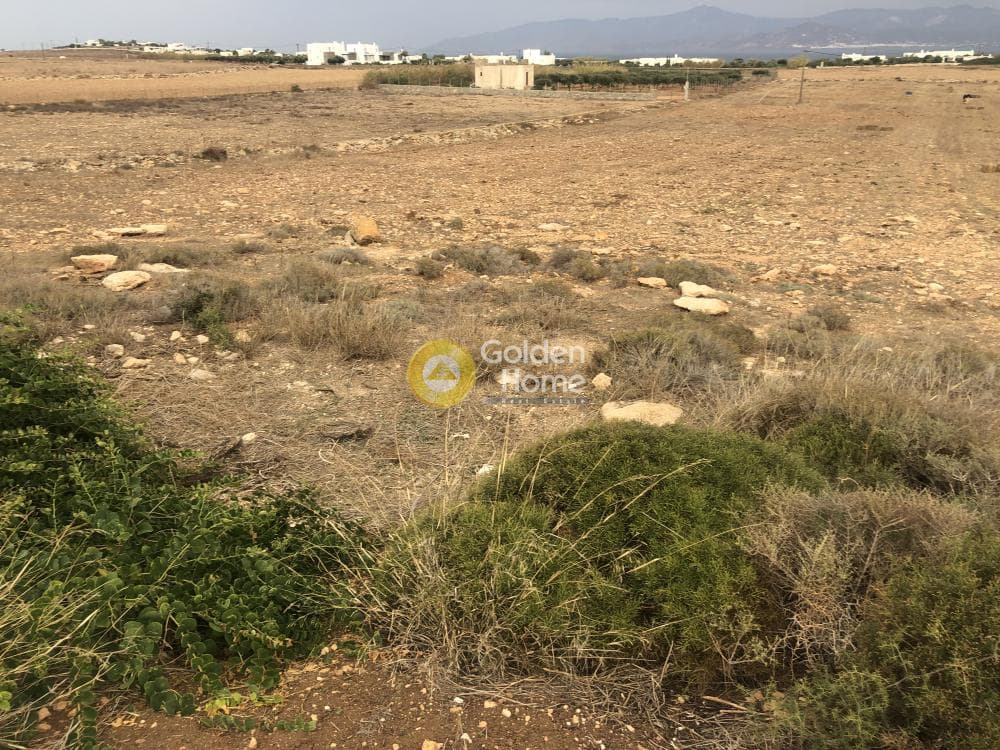 Parcel in Ampelas, Paros — Photo 4 of 6