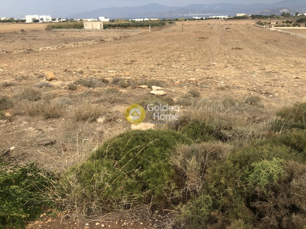 Parcel in Ampelas, Paros — Photo 1 of 6