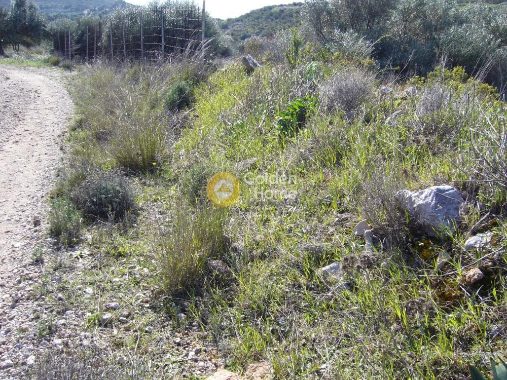 Parcel in Dimolaki, Anavissos — Photo 6 of 6