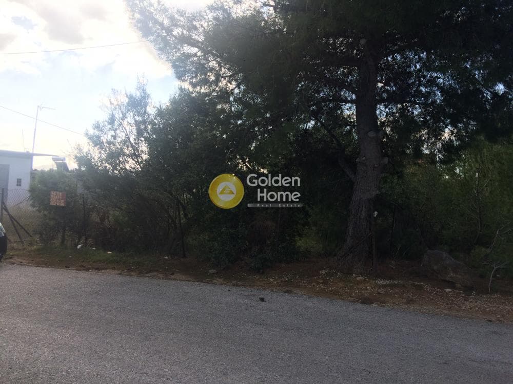 Οικόπεδο στην Φούρεσι, Γλυκά Νερά — Φωτογραφία 9 από 11