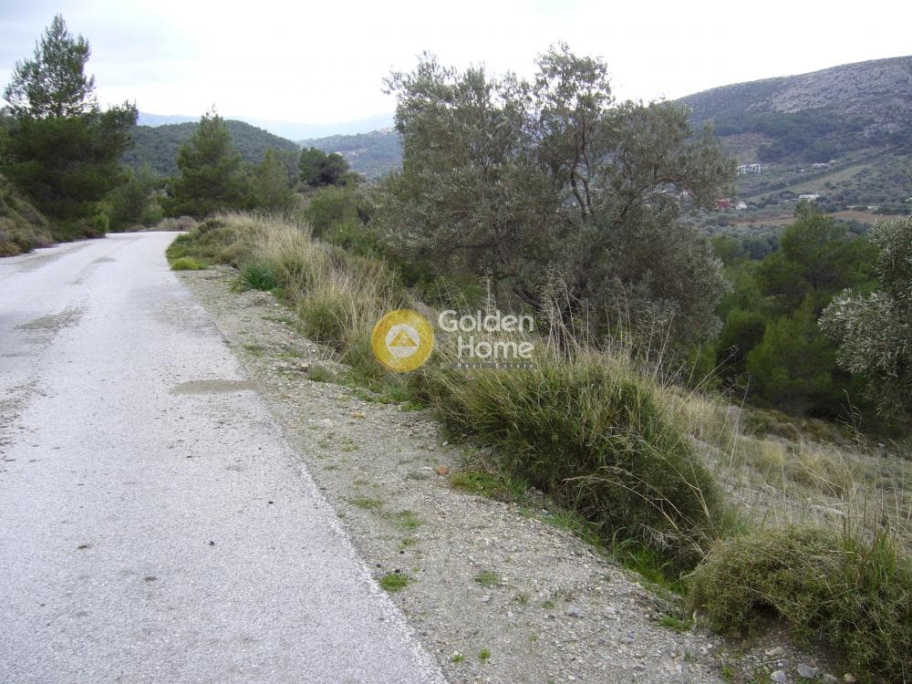 Αγροτεμάχιο στην Διόνυσος, Κερατέα — Φωτογραφία 12 από 15
