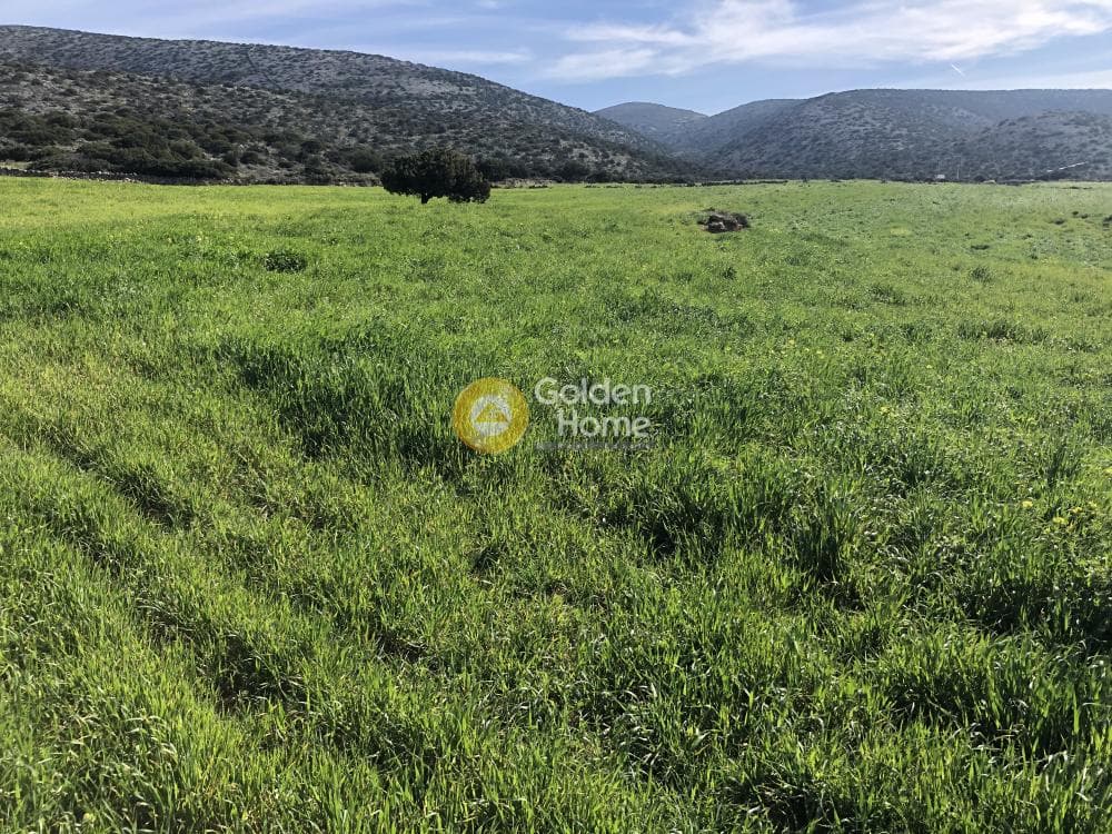 Building Plot in Kamari, Paros — Photo 4 of 9
