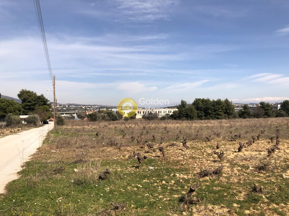 Parcel in Neapoli, Spata — Photo 2 of 4