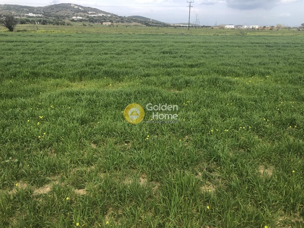 Building Plot in Isterni, Paros — Photo 4 of 11