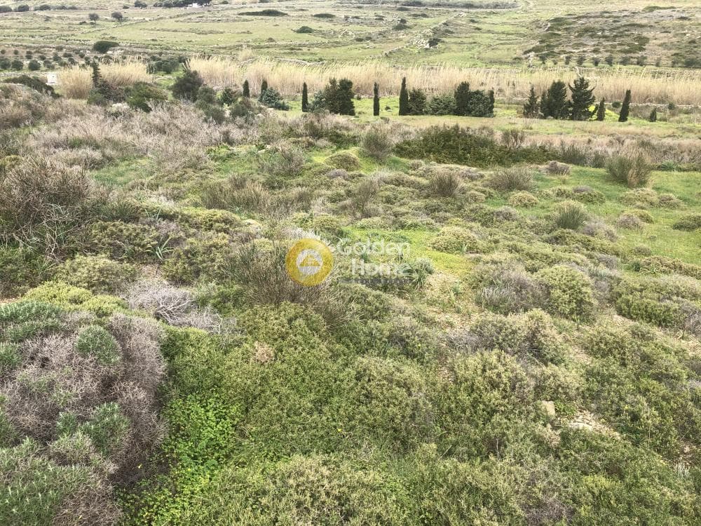 Αγροτεμάχιο στην Άγιος Χαράλαμπος, Πάρος — Φωτογραφία 3 από 8